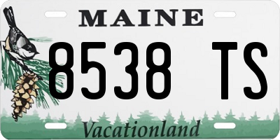 ME license plate 8538TS
