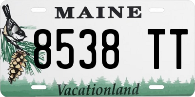 ME license plate 8538TT