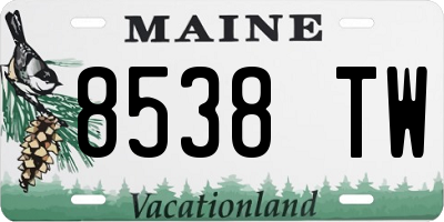 ME license plate 8538TW