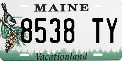 ME license plate 8538TY