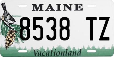 ME license plate 8538TZ