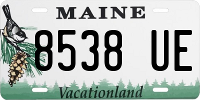 ME license plate 8538UE