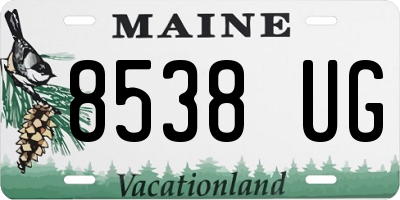 ME license plate 8538UG