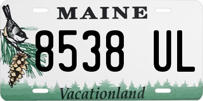 ME license plate 8538UL