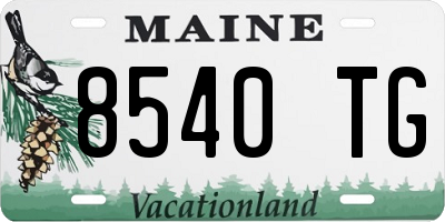 ME license plate 8540TG