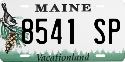 ME license plate 8541SP