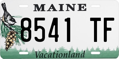 ME license plate 8541TF