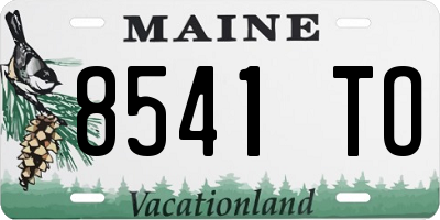 ME license plate 8541TO