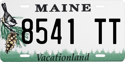 ME license plate 8541TT