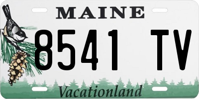 ME license plate 8541TV