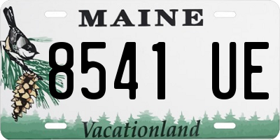 ME license plate 8541UE