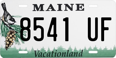 ME license plate 8541UF