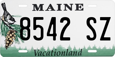 ME license plate 8542SZ