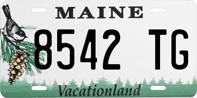 ME license plate 8542TG