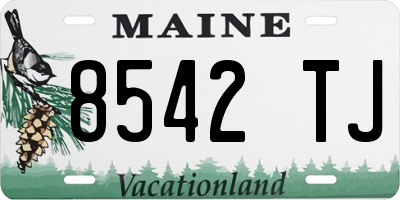 ME license plate 8542TJ