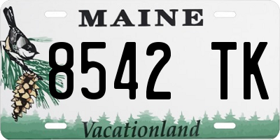 ME license plate 8542TK