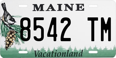ME license plate 8542TM