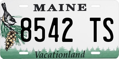 ME license plate 8542TS