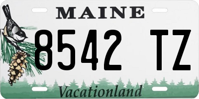 ME license plate 8542TZ