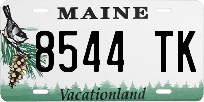 ME license plate 8544TK