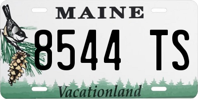 ME license plate 8544TS