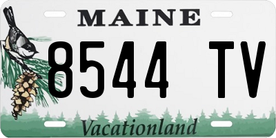 ME license plate 8544TV