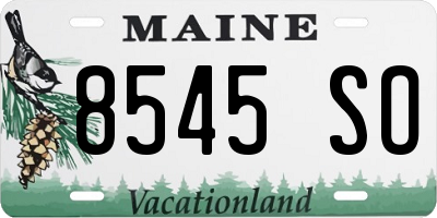 ME license plate 8545SO