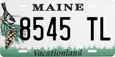 ME license plate 8545TL