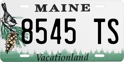 ME license plate 8545TS