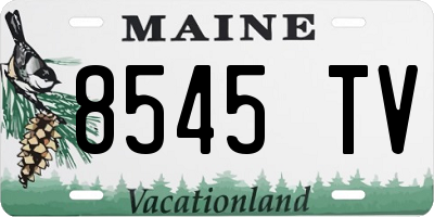 ME license plate 8545TV