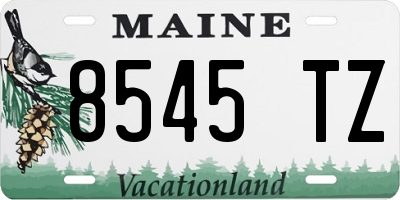 ME license plate 8545TZ
