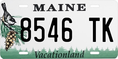 ME license plate 8546TK