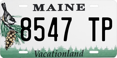 ME license plate 8547TP