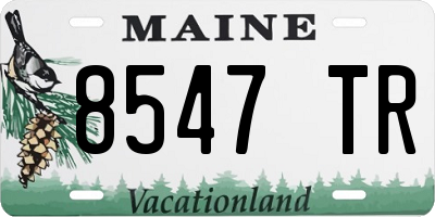 ME license plate 8547TR