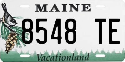 ME license plate 8548TE