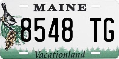 ME license plate 8548TG