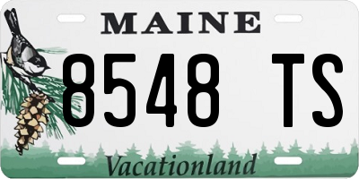 ME license plate 8548TS
