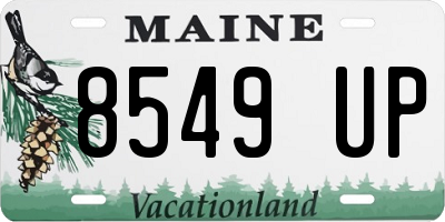 ME license plate 8549UP