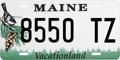 ME license plate 8550TZ
