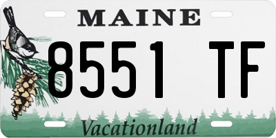 ME license plate 8551TF