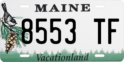 ME license plate 8553TF