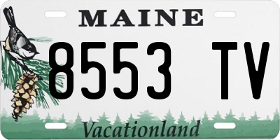 ME license plate 8553TV