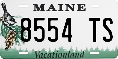 ME license plate 8554TS