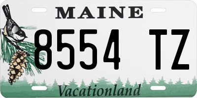 ME license plate 8554TZ