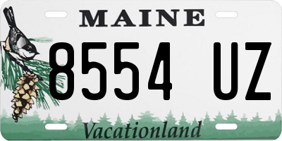 ME license plate 8554UZ