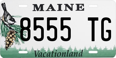 ME license plate 8555TG