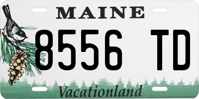 ME license plate 8556TD