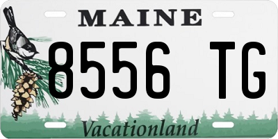 ME license plate 8556TG