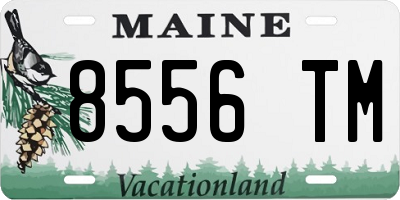 ME license plate 8556TM
