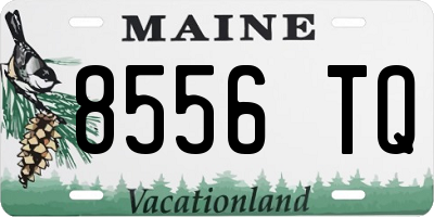 ME license plate 8556TQ